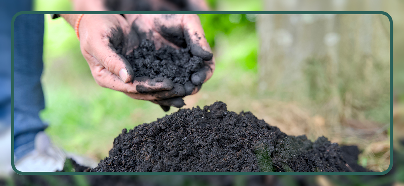 why-your-lawn-needs-a-soil-improver