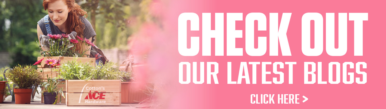Spring Blogs