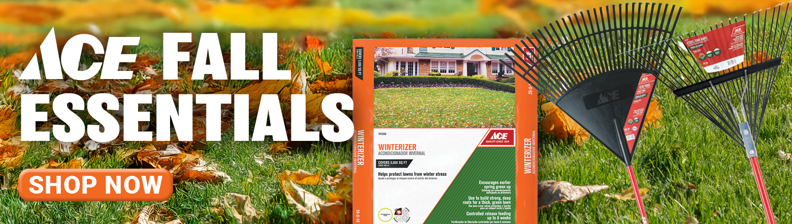 COTT-Oct 2025 Ace Fall Header